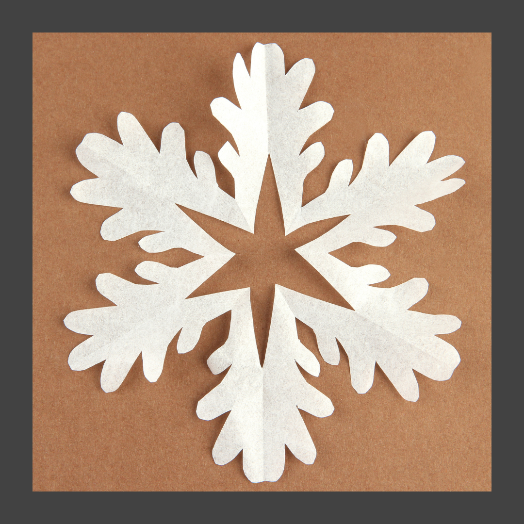 Stem Craft Snowflake
