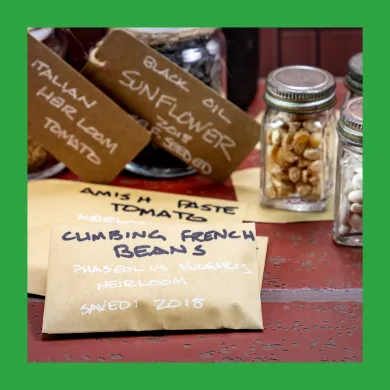 image of seed packets