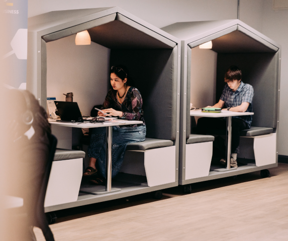 Study Area
