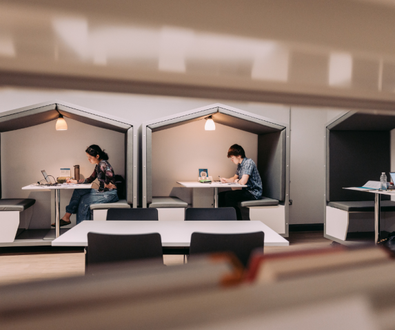 Study area